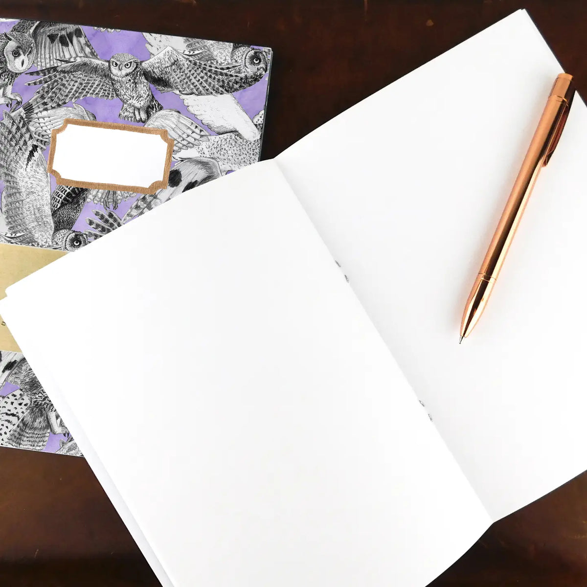 Owls blank slim sketchbook