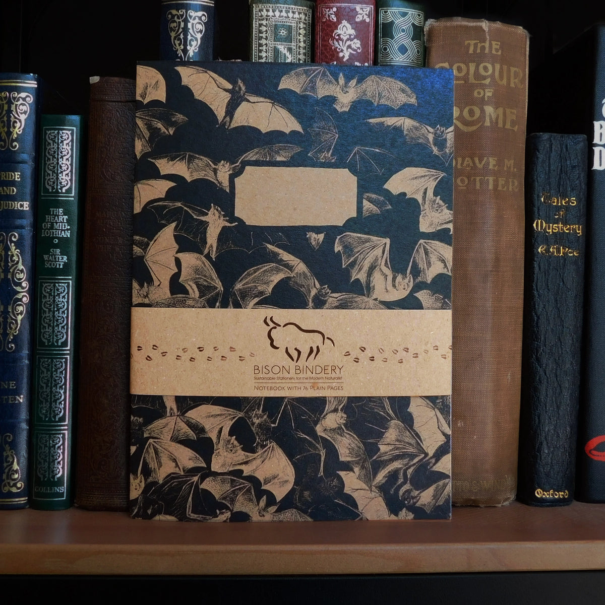 Bats blank sketchbook