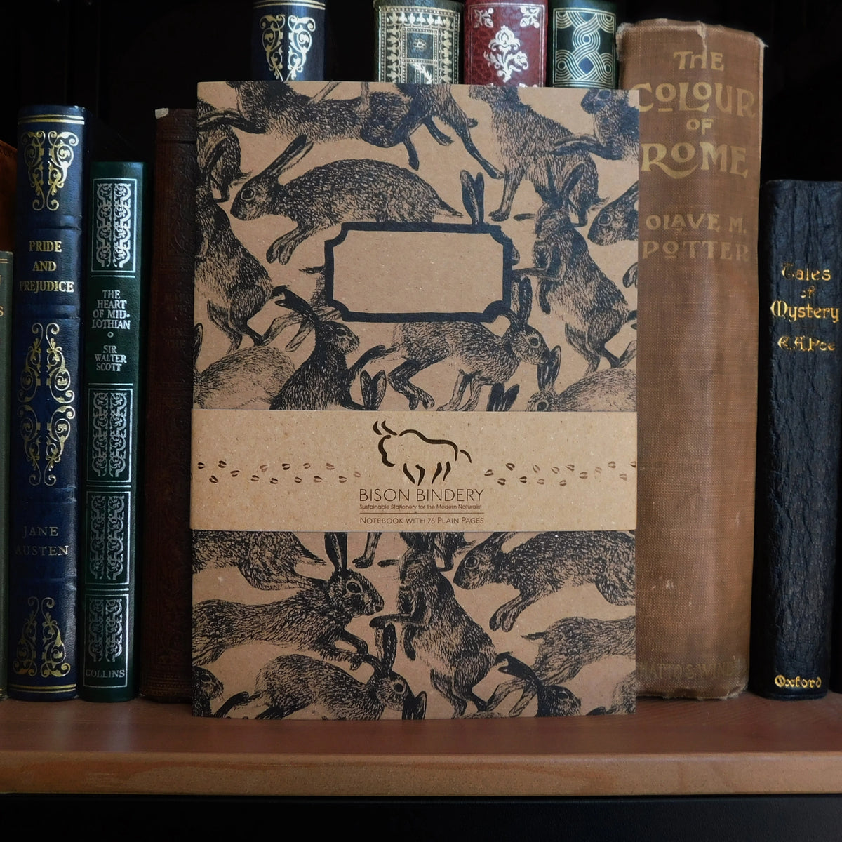 Hares blank sketchbook