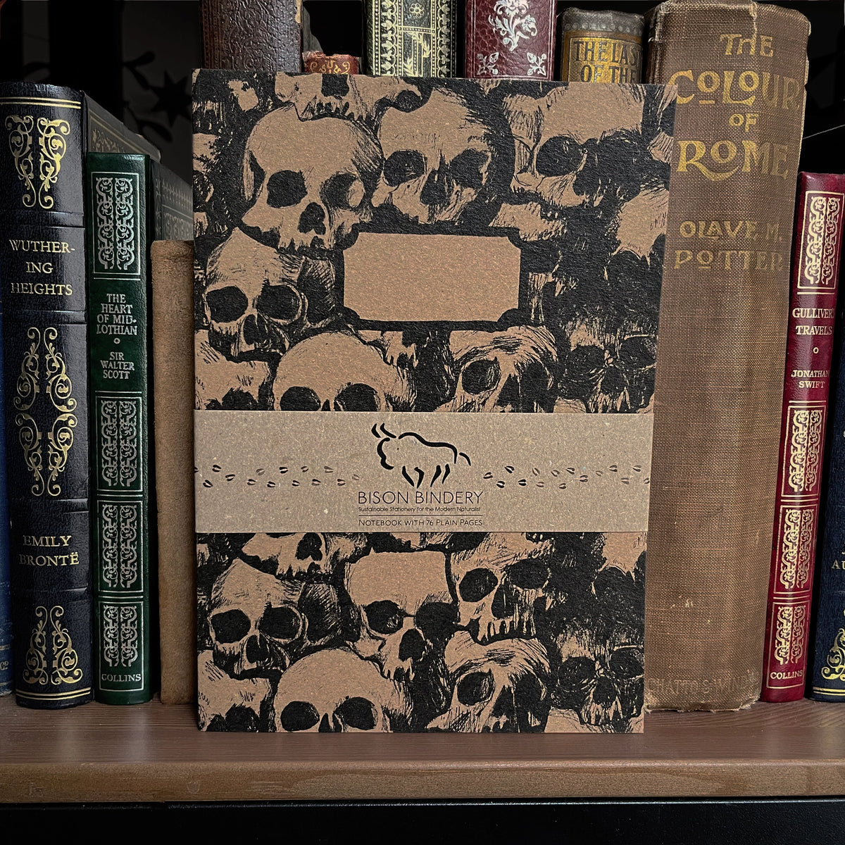 Skulls blank sketchbook