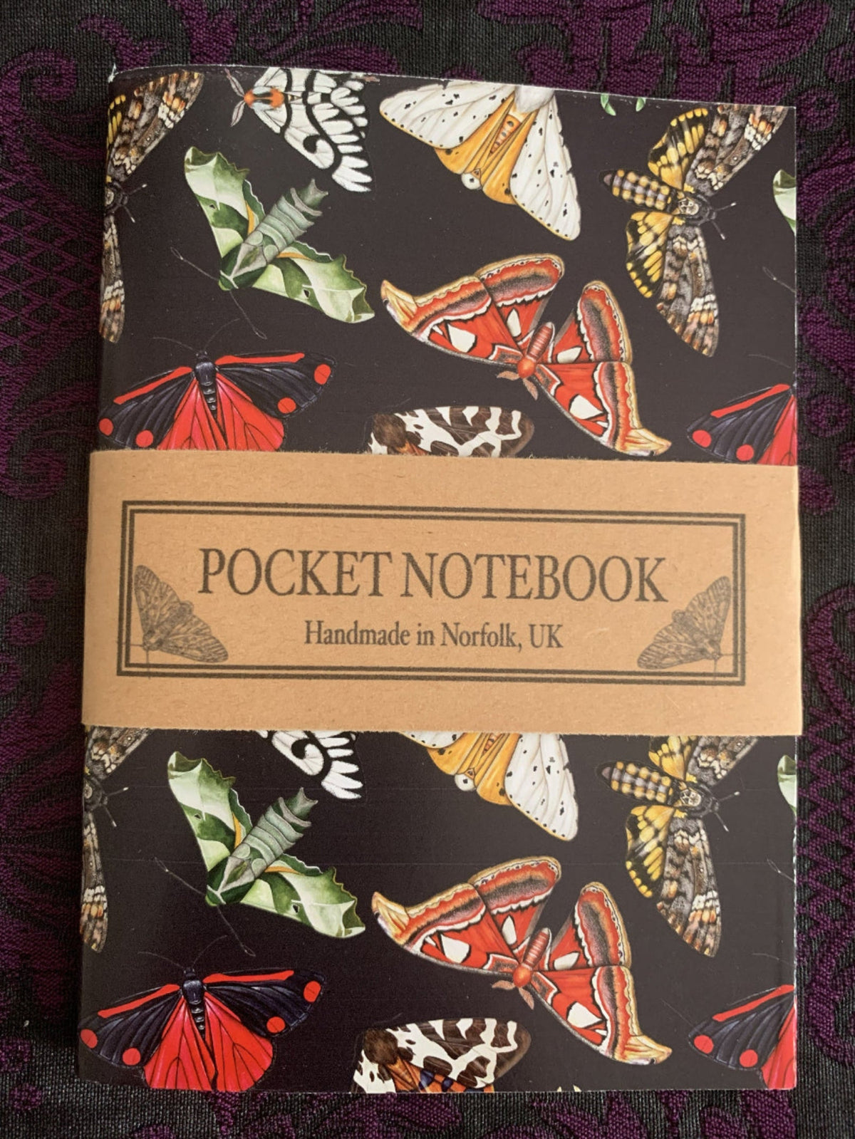 Moths blank pocket notebook