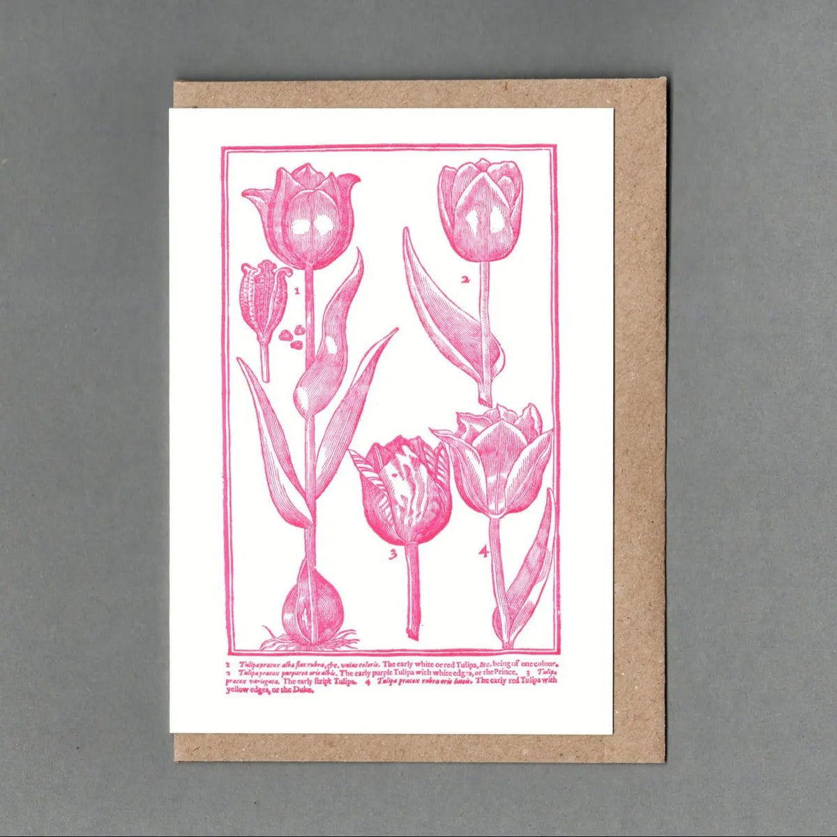 Tulips greetings card