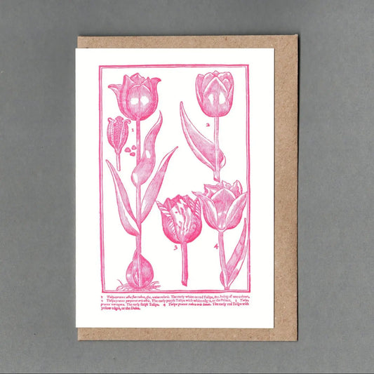 Tulips greetings card