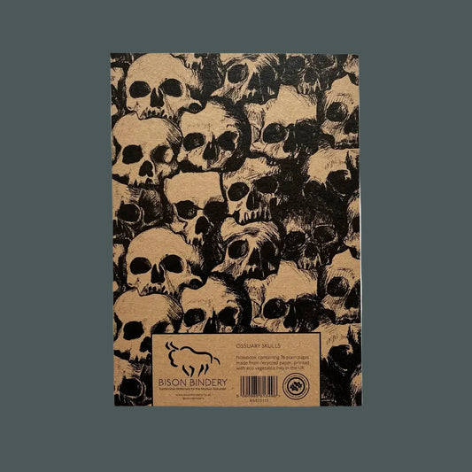 Skulls blank sketchbook